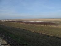 Imagine atasata: Bega - 2015.01.17 - 031.jpg